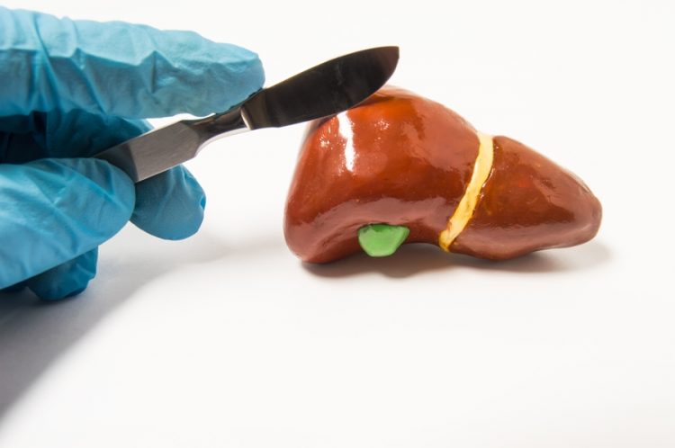 India Developing Its Latest Trend In Liver Transplant